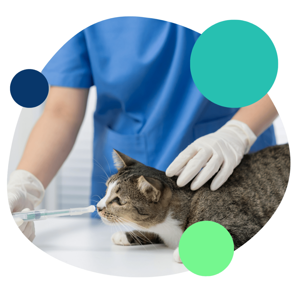 Trusted Analytical Testing for the Animal Health Industry